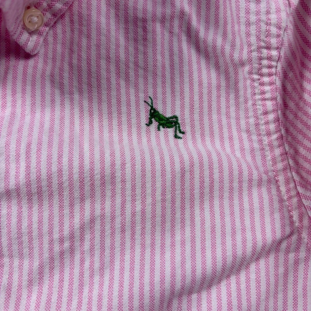 Ralph Lauren Shirt Boys 6 Pink Stripe Grasshopper Embroidered Button Down